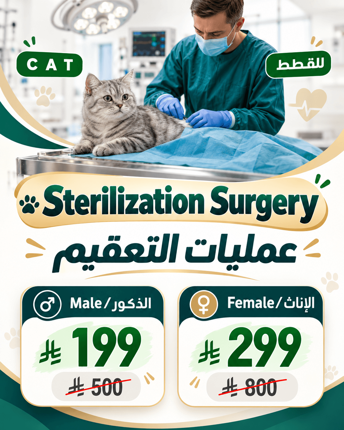 عرض تعقيم القطط في الرياض لدى عيادة Pulse Care بسعر 199 ريال للذكور و299 ريال للإناث